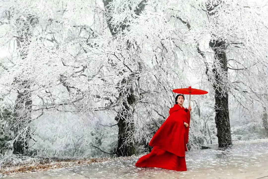绝美雾凇只在双牌阳明山