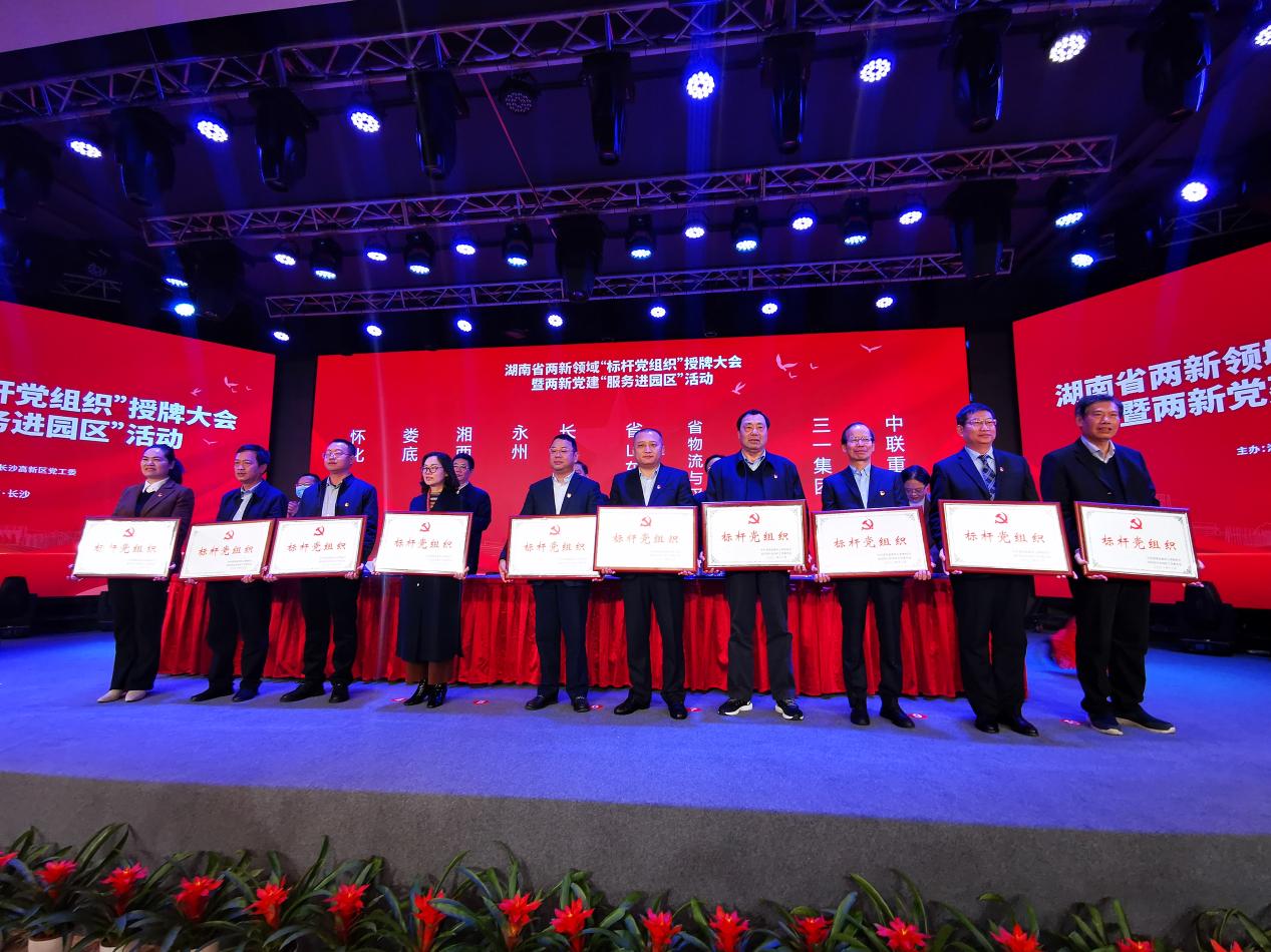 湖南省两新领域“标杆党组织”授牌大会暨“两新党建”送服务进园区活动在长沙高新区举行。