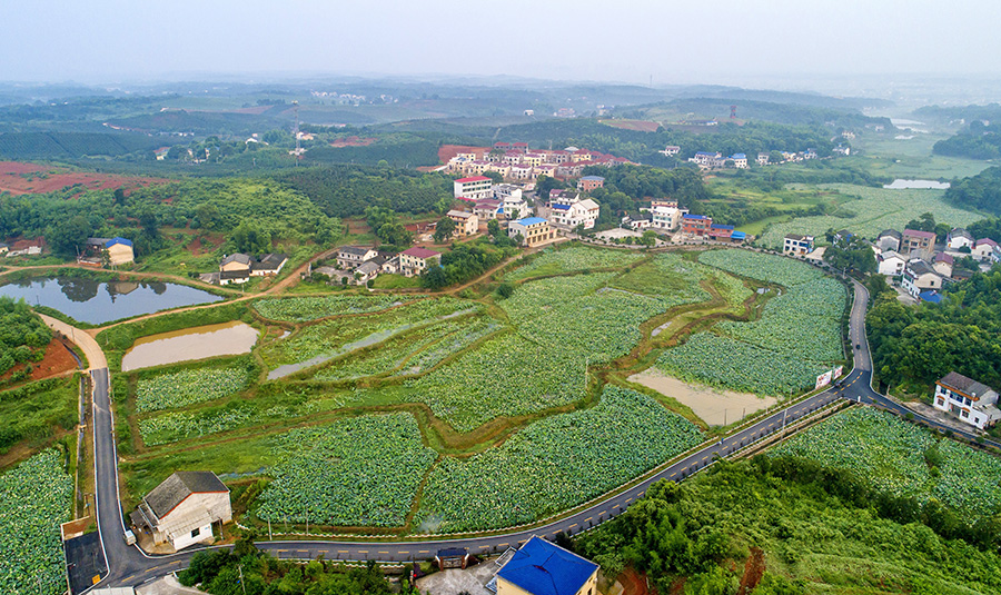 白水镇：西长模式获益佳 农旅融合促发展