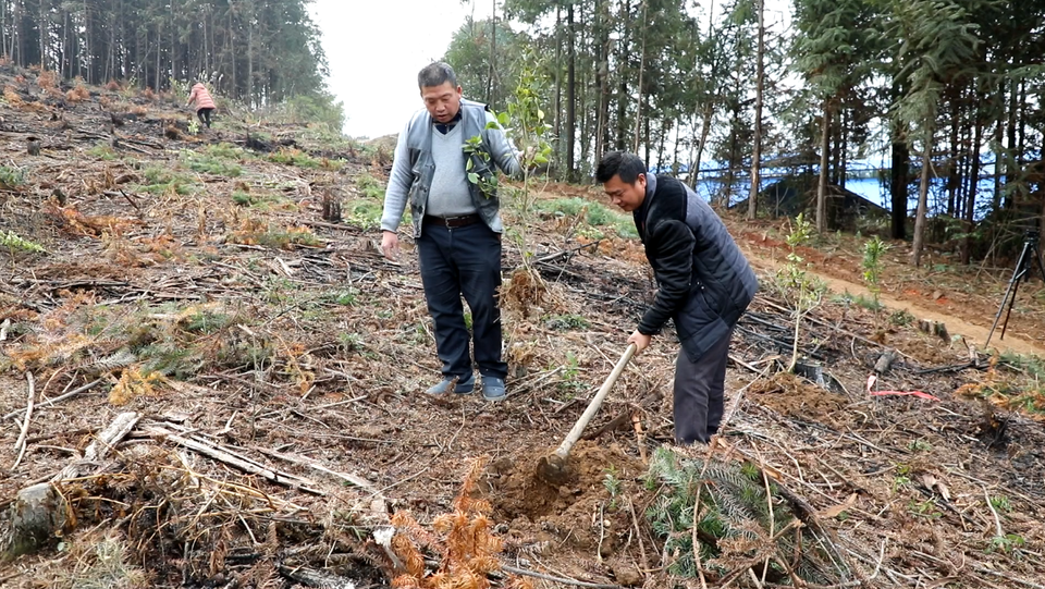 双牌朝阳村：因地制宜 打好产业兴村的组合拳