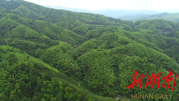 绥宁县被授予“湖南省森林城市”称号_邵商网