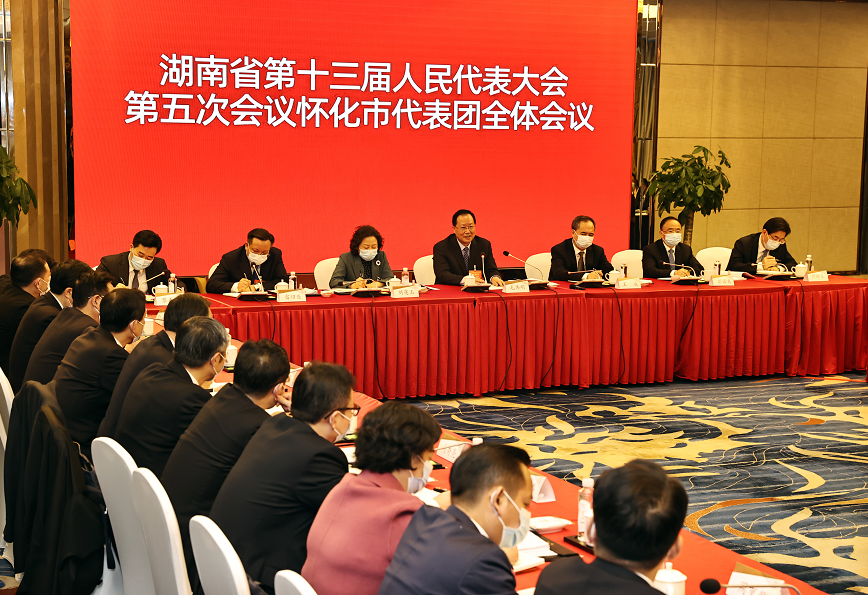 毛伟明参加怀化代表团审议：全面提升整体发展实力和水平
