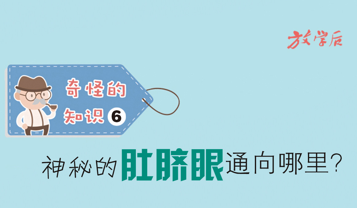 放学后·漫画｜奇怪的知识6：神秘的肚脐眼通向哪里？