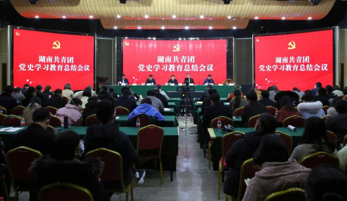 湖南共青团召开党史学习教育总结会议