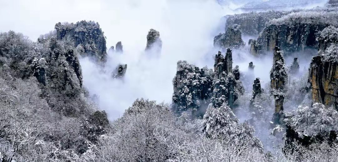 像省外河南,其