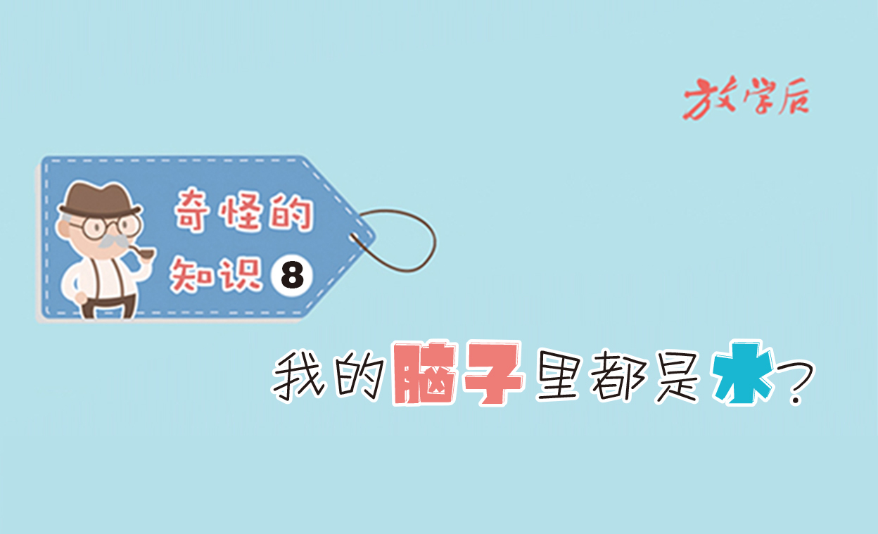 放学后·漫画｜奇怪的知识8：我的脑子里都是水？