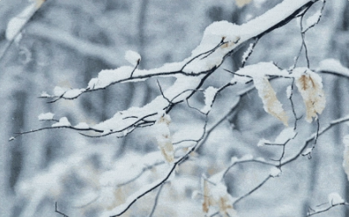 大雪、暴雪、大暴雪！湖南省气象台最新发布！