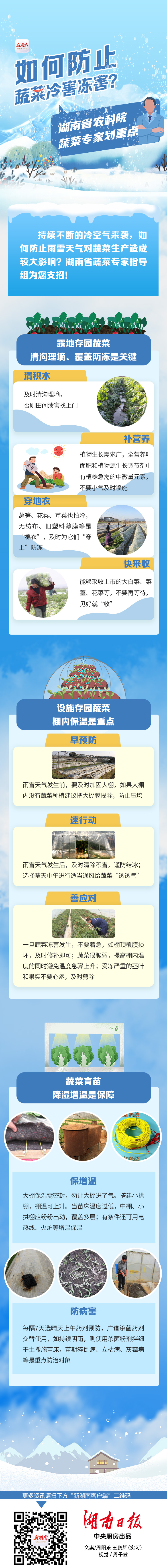 冰寒天气 如何防止蔬菜冷害冻害 蔬菜专家划重点 动态 新湖南