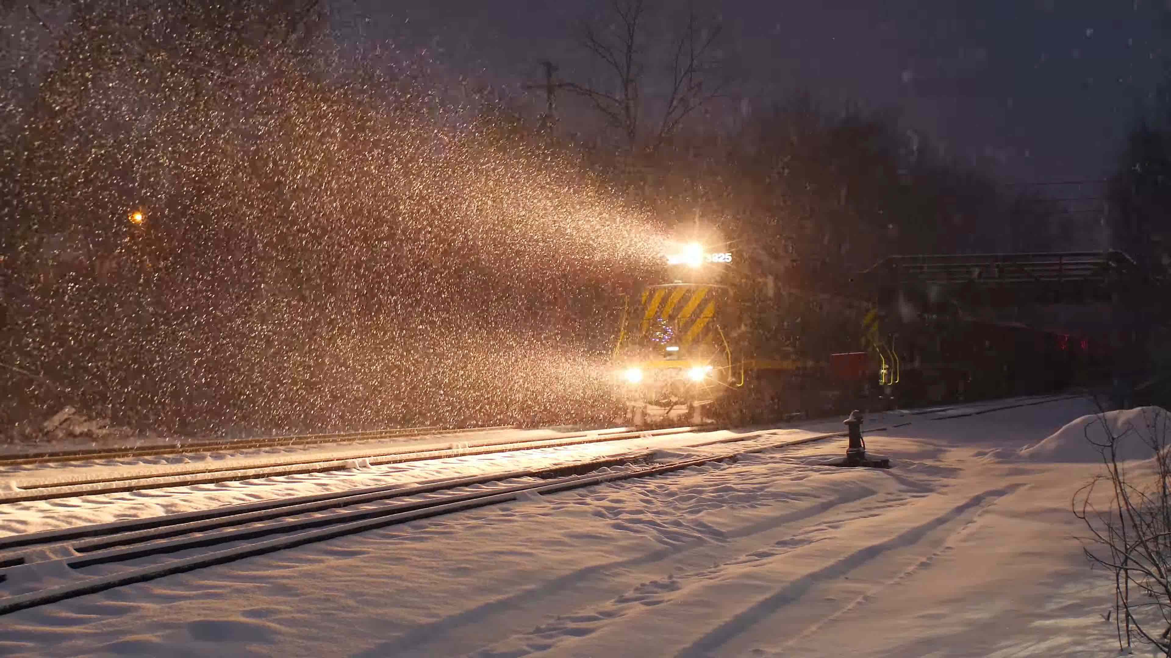 风雪中的首席“舞者”