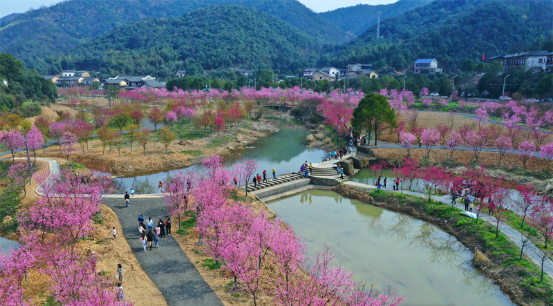 “嚶嚶嚶”，湘潭首屆櫻花旅游文化節(jié)將在這里“盛開”