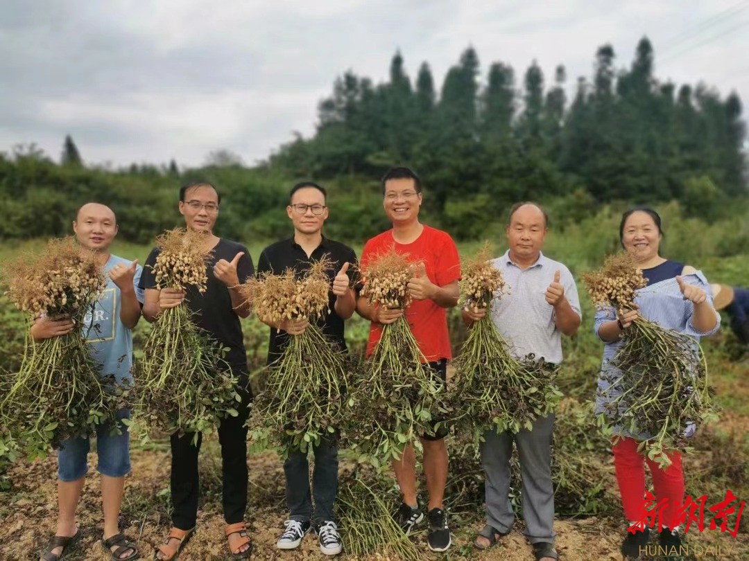 夏勇彬（右三）与农业科技人员在田头展示收获的小籽花生。