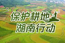 保护耕地 湖南行动丨让每一寸耕地都成为丰收沃土