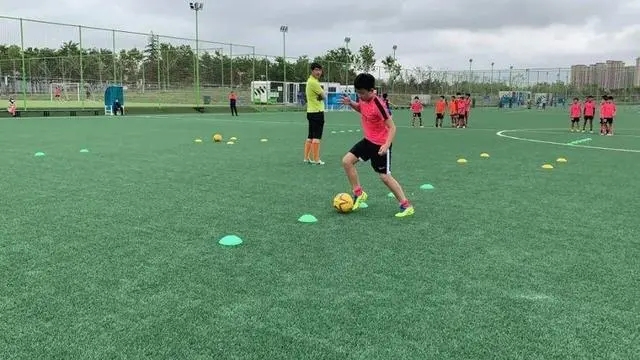 厉害了，临武县这些学校、幼儿园入选全国名单