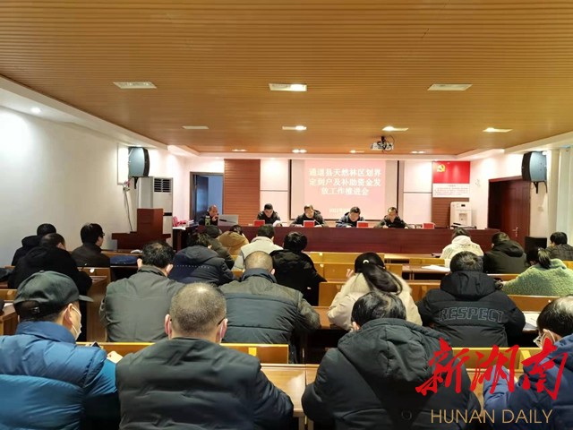 通道:明确今年林业生态保护工作重点