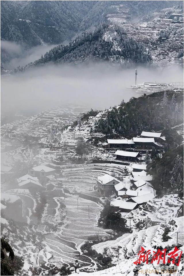 图片新闻|山背雪景迷醉人 怀化 新湖南