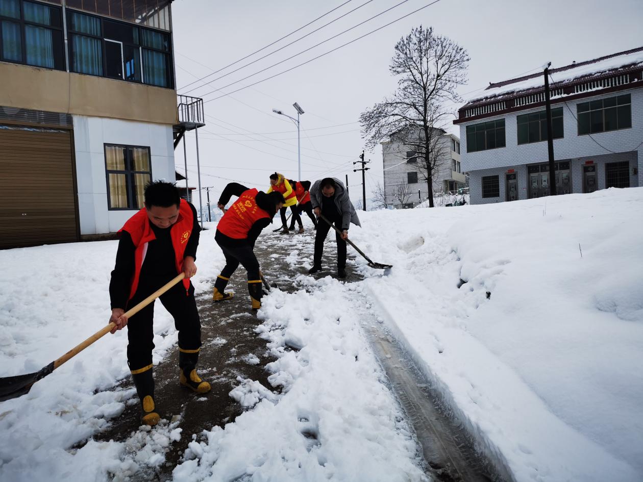 双清团员青年以雪为令，志愿服务书写青春风采