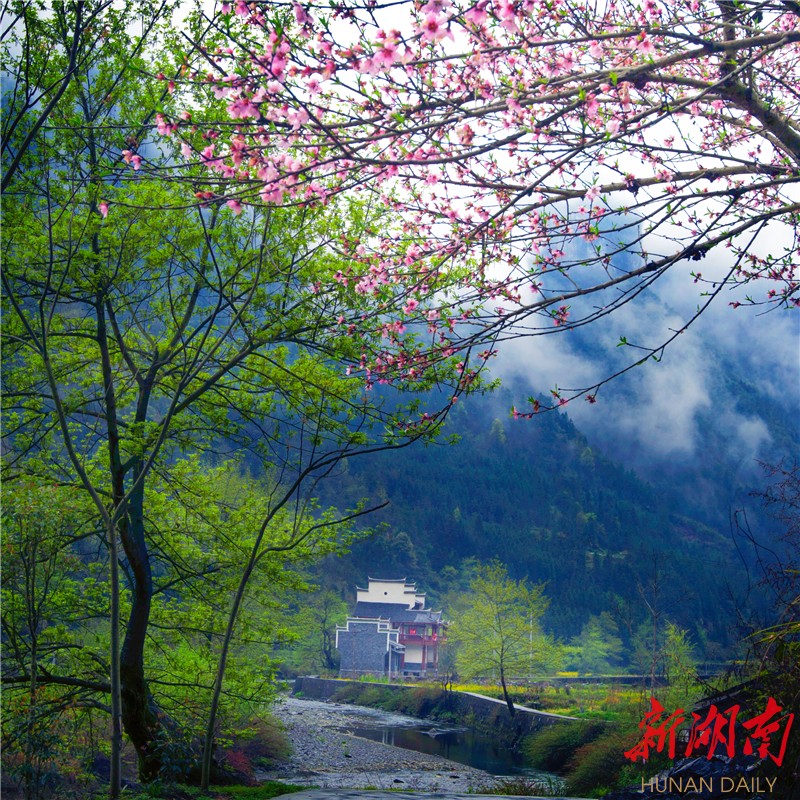 组诗丨谭滔：春天说