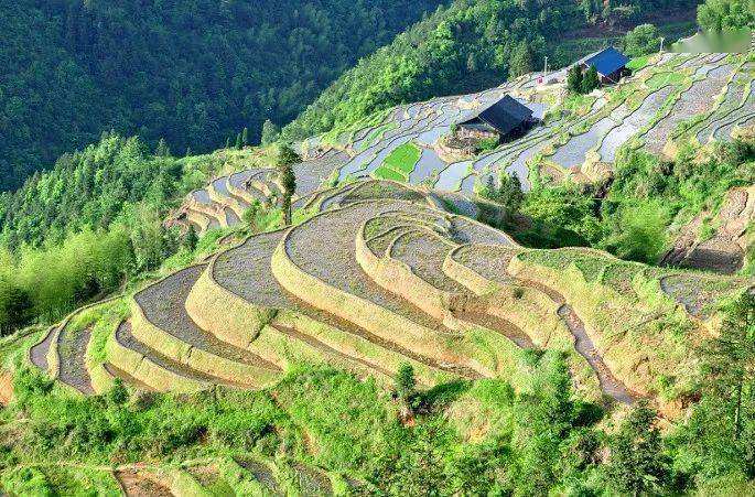 湖南日报头版丨五溪大地春意浓——怀化市春耕备耕见闻