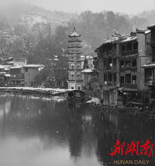 组图丨水墨凤凰