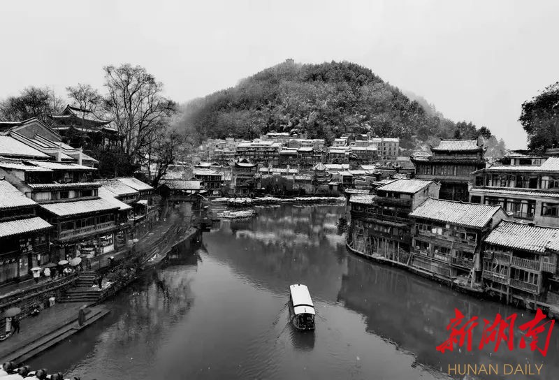 组图丨水墨凤凰