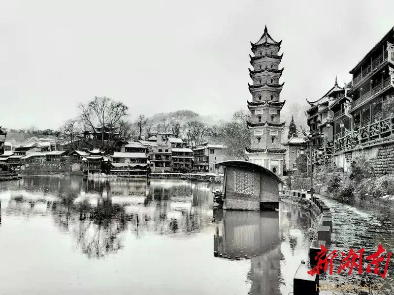 组图丨水墨凤凰
