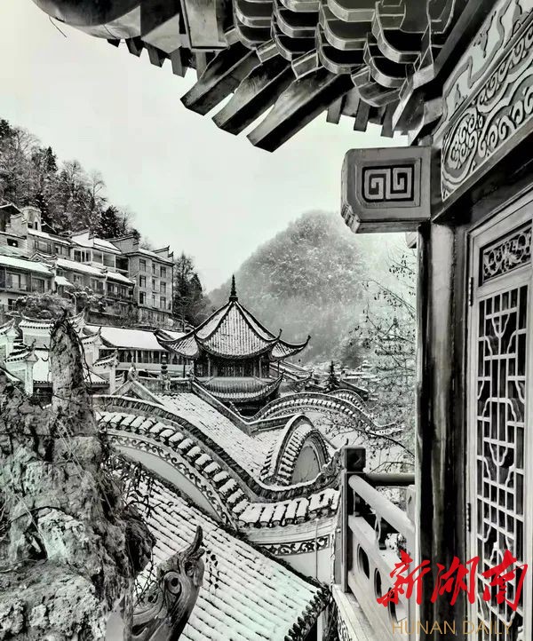 组图丨水墨凤凰