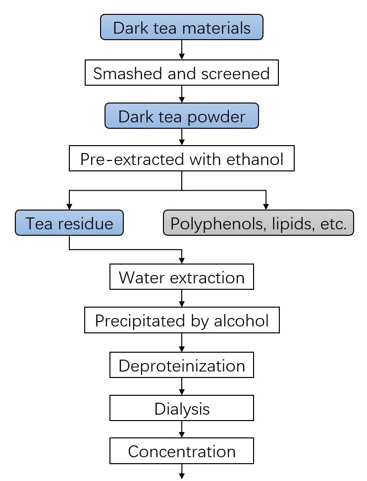 益生元黑茶中水溶性多糖的结构解析和抗肿瘤活性研究