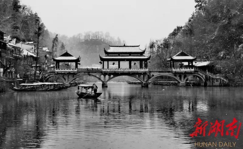 组图丨水墨凤凰