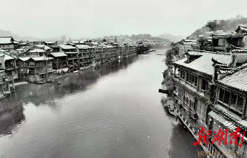 组图丨水墨凤凰