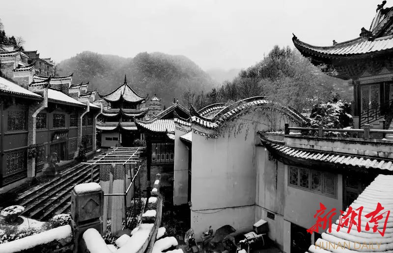 组图丨水墨凤凰