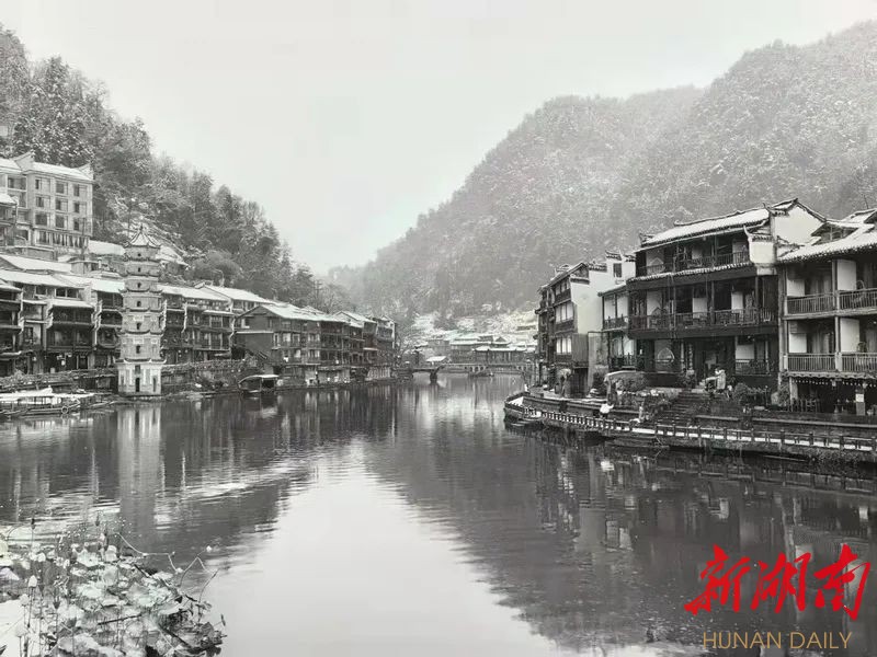 组图丨水墨凤凰