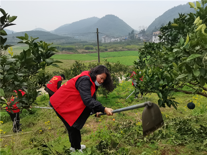 龍山縣里耶鎮(zhèn)：春管春耕促生產(chǎn) 相約春暖備耕忙