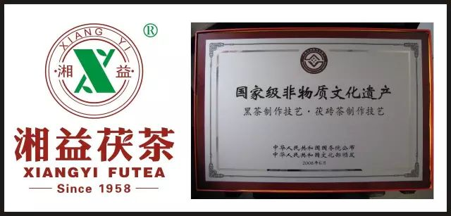 湘益茯茶联合中国供销石油有限公司“佰社仟品”、昆仑好客武夷山水开展茶文化主题推广活动