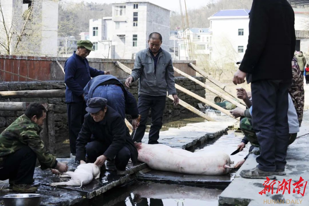 组图丨武吉海：我觅苗寨接龙