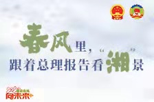 SVG海报丨春风里，跟着总理报告看“湘”景