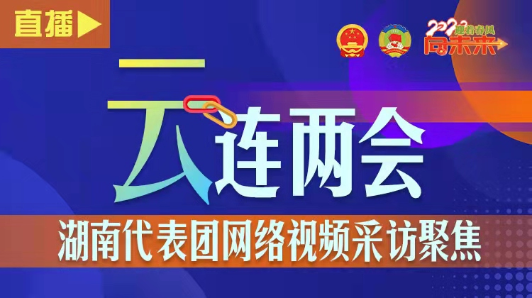 “云”连两会，湖南代表团首场网络视频采访