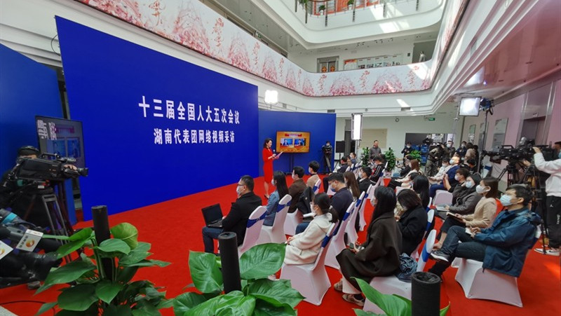 “云”连两会，湖南代表团首场网络视频采访举行