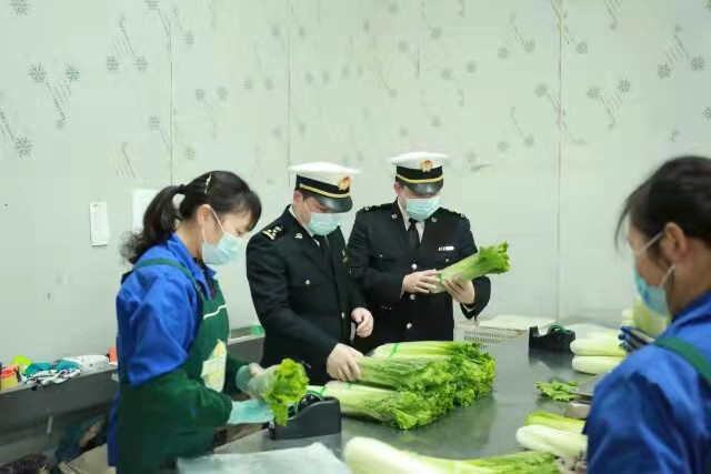 湖南首趟陆海联运供港蔬菜发运 运输成本较陆路运输降低约40%