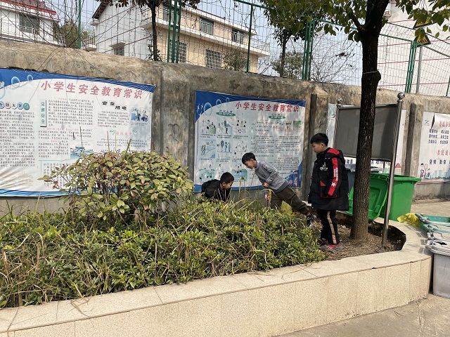 石井镇小学开展“人居环境整治”志愿服务活动