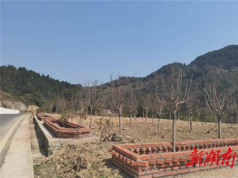 吉首市红坪村：打造“网红公路”带动乡村振兴