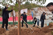 绿化溪州大地 共建美丽家园 ——永顺县开展义务植树活动