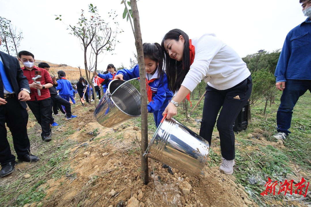 砂子塘新世界小學開展植樹節活動