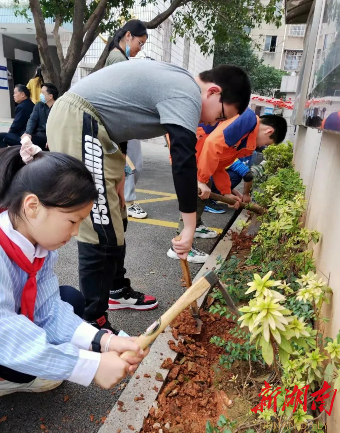 枫树山鸿铭第二小学图片