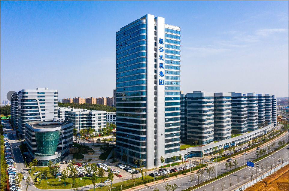 麓谷·山湖郡背靠的湖南麓谷发展集团,作为长沙高新区管委会直属全资