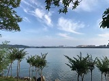 松杨湖街道：保护治理同发力  河湖生态展新貌