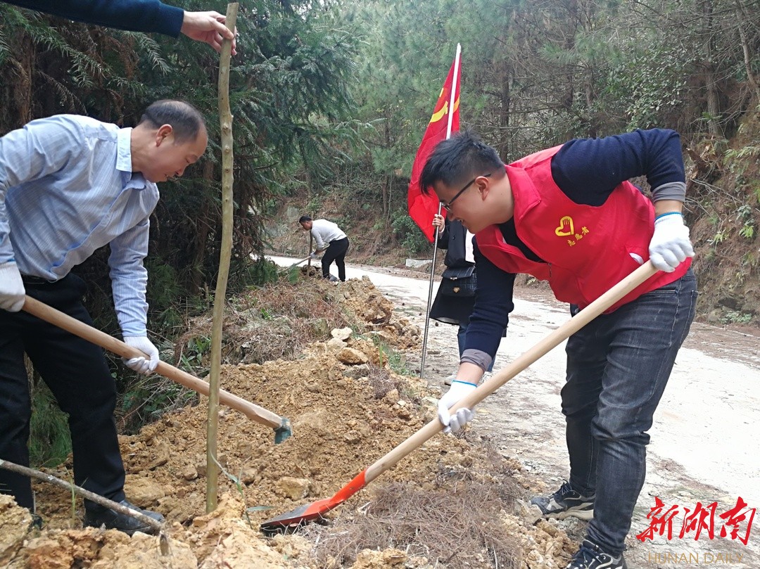 助力乡村振兴共建美好家园城步县儒林镇罗家水村开展植树节活动