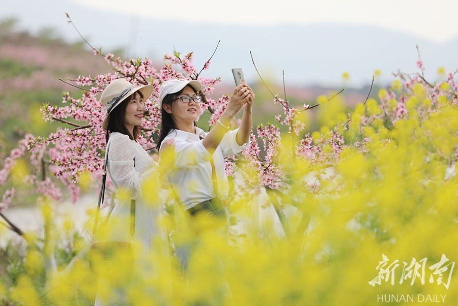 踏春赏花乐享春光