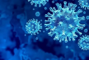 中疾控周报最新研究：一起可能由进口假牙引发的奥密克戎聚集传播
