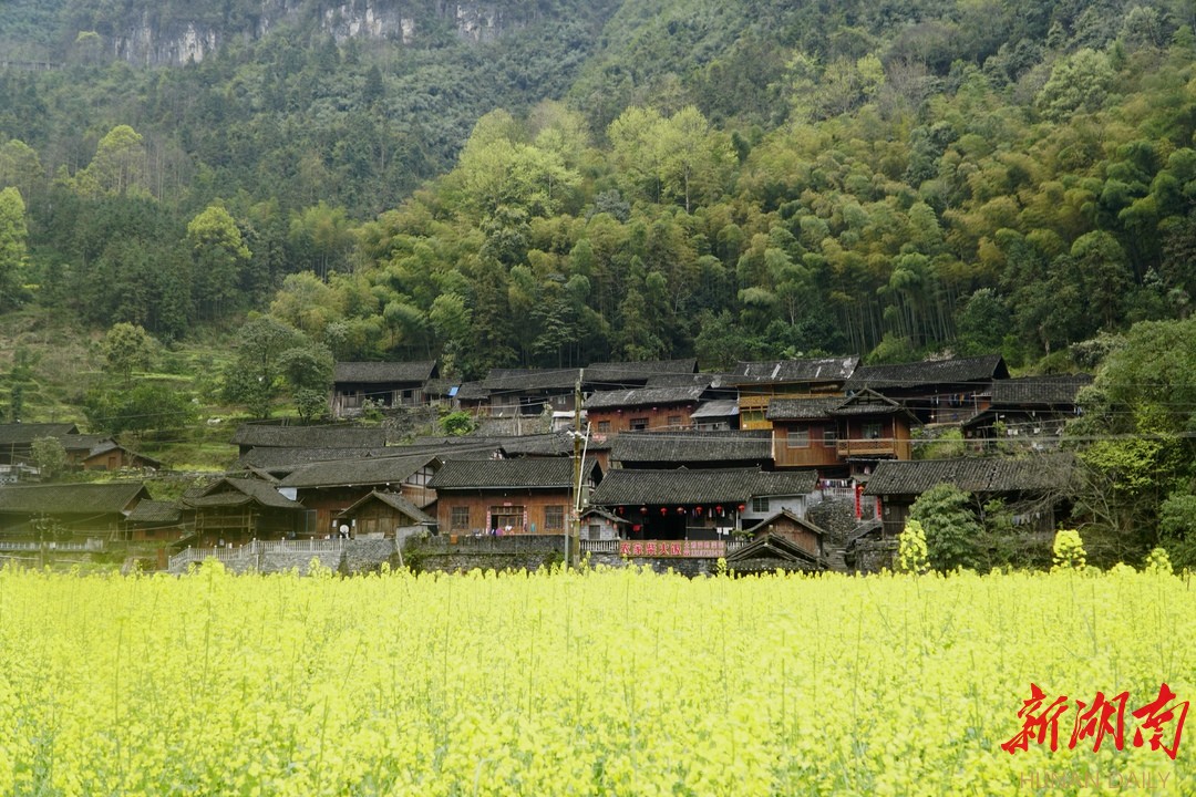 熊福：东风齐著力•春到湘西