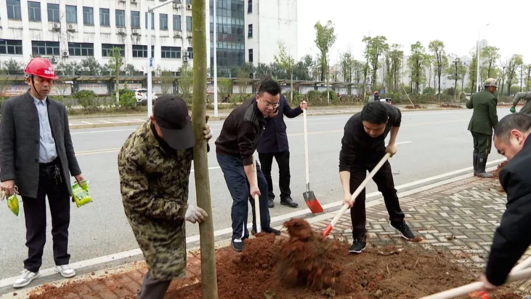 王洪灿参加县委办机关党支部植树活动